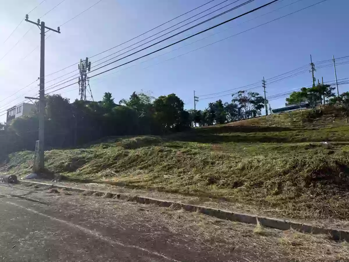 Commercial Lot along Hiway near Tagaytay — Space in Buck Estate, Alfonso, Cavite — Photo 3
