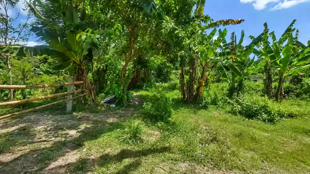 RESIDENTAIL LOT FOR SALE IN DUMAGUETE CITY — Residential Lot in Dumaguete City, Negros Oriental, 6200 — Photo 2