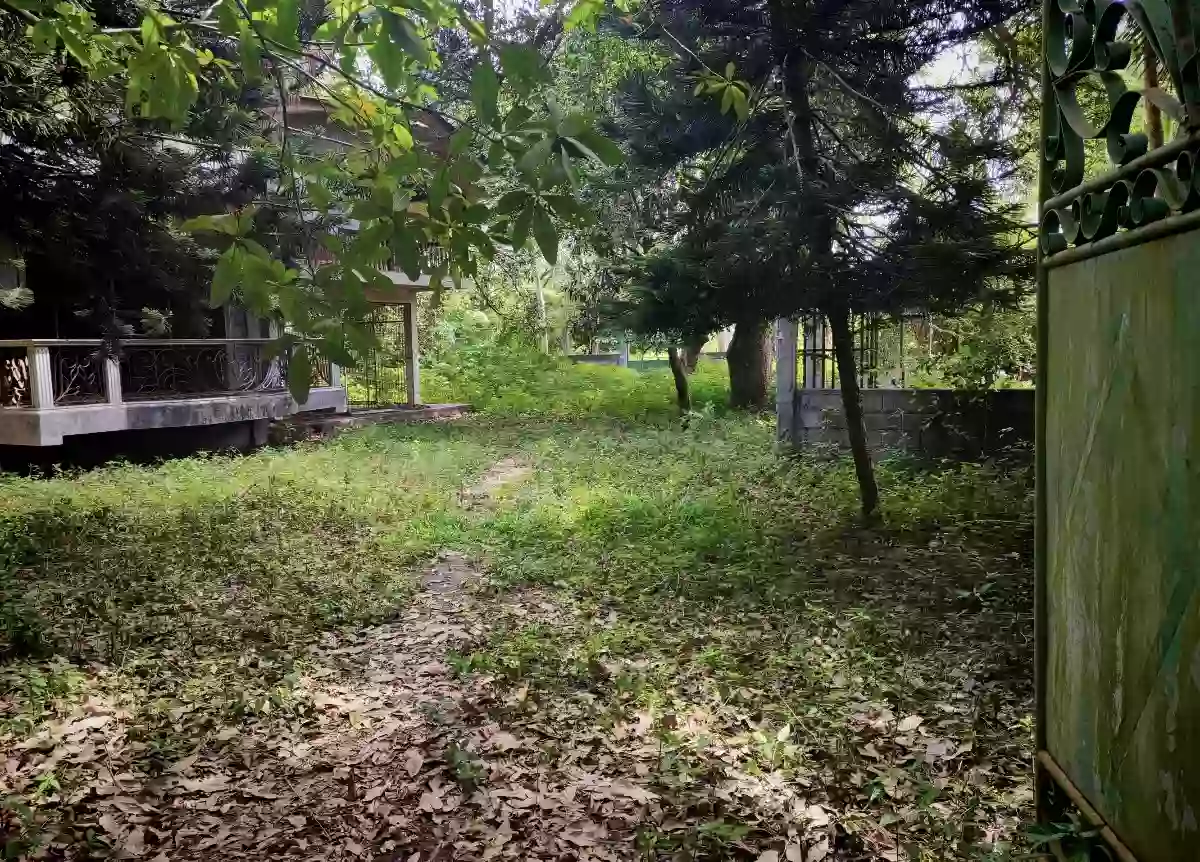 For Sale: Commercial Lot in Katangawan, Gen. Santos City 32000 sqm — Commercial Lot in Gen. Santos City, South Cotabato, 9500 — Photo 5