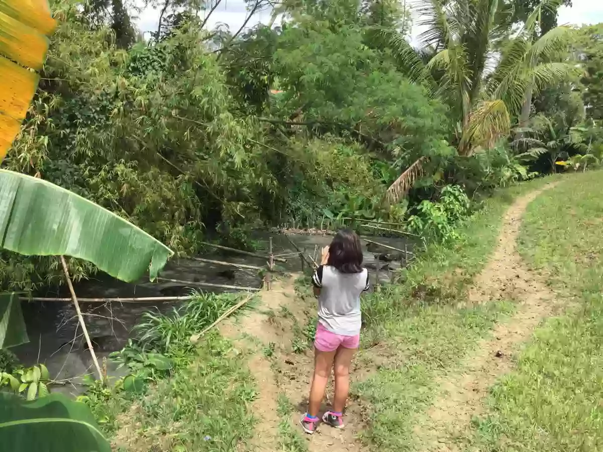 For Sale: Agricultural Lot in Buenavista, Carcar — 21,737 sqm — Agricultural Lot in Carcar, Cebu, 6019 — Photo 3