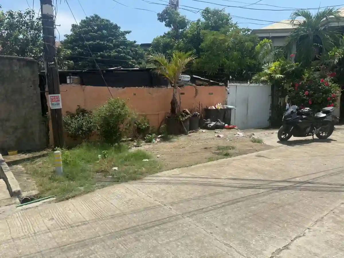 Lot for sale in San Jose Village Tisa Cebu City