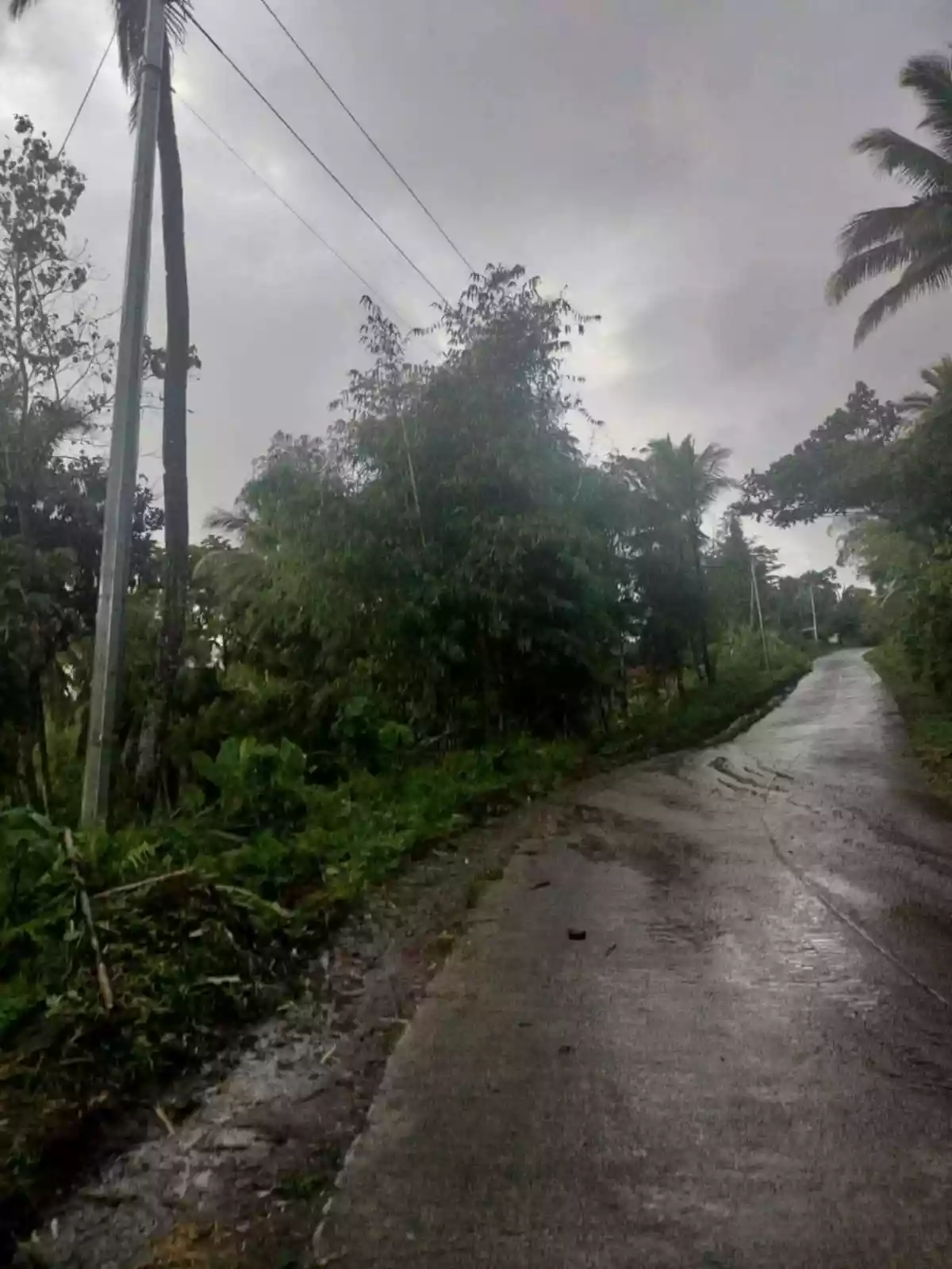 For Sale: Agricultural Lot in Bangayan, Kitcharao — 27000 sqm — Agricultural Lot in Kitcharao, Agusan del Norte, 8609 — Photo 2