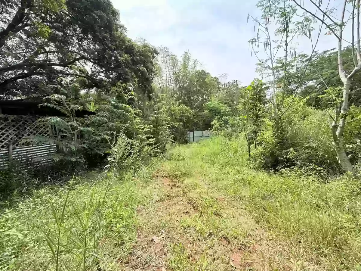 For Sale: 36000 sqm Residential Lot in Camaman-an, Cagayan de Oro City — Residential Lot in Cagayan de Oro City, Misamis Oriental, 9000 — Photo 5