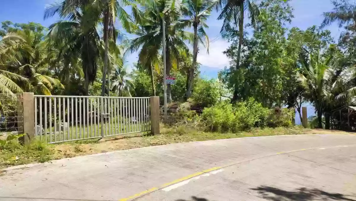 FOR SALE: Agricultural Lot Near Boljoon Heritage Park, Boljoon — 13,638 sqm — Agricultural Lot in Boljoon, Cebu, 6024 — Photo 7