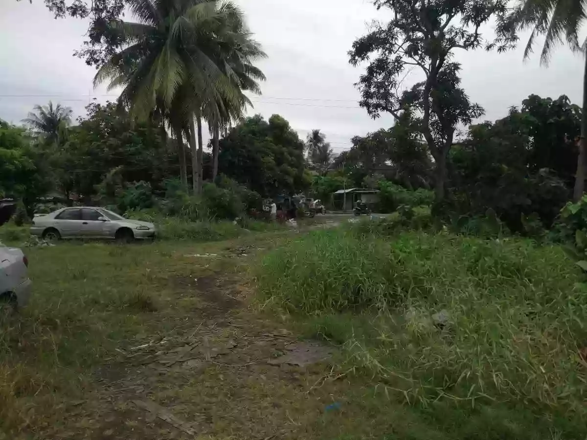 FOR SALE: Residential Lot in Tabucan, Iloilo City — 76,097 sqm — Residential Lot in Tabucan, Iloilo City, Iloilo — Photo 3