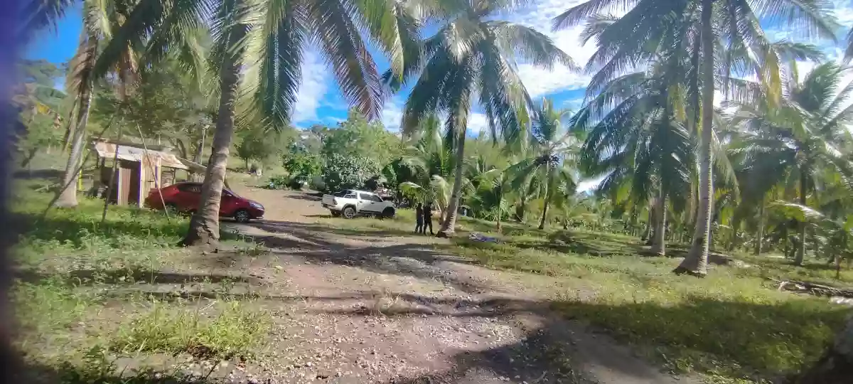 For Sale: Agricultural Lot in Conel, Gen. Santos City — 45987 sqm — Agricultural Lot in General Santos City, South Cotabato, 9500 — Photo 5
