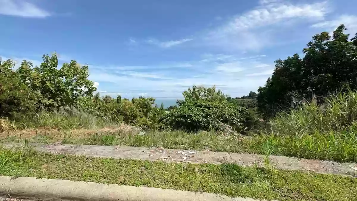 For Sale: Residential Lot in Balubal, Cagayan de Oro City — 250 sqm — Residential Lot in Balubal, Cagayan de Oro City, Misamis Oriental — Photo 2