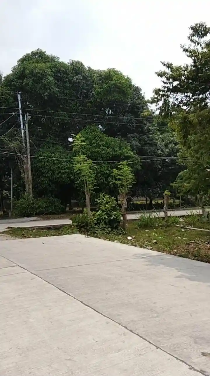 For Sale: Commercial Lot Near Dumaguete Public Fruit Market, Dumaguete City — 12684 sqm — Commercial Lot in Cantil-e, Dumaguete City, Negros Oriental — Photo 2