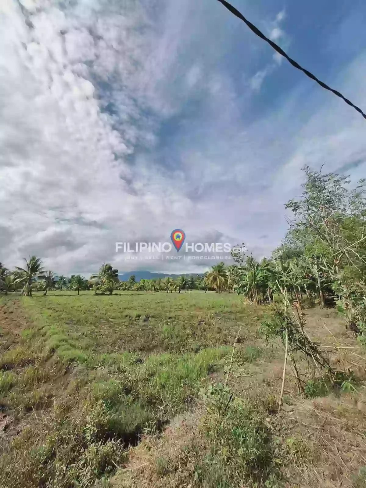 Prime Lot for Sale — Agricultural Lot in Libungan, Cotabato, 9411 — Photo 5