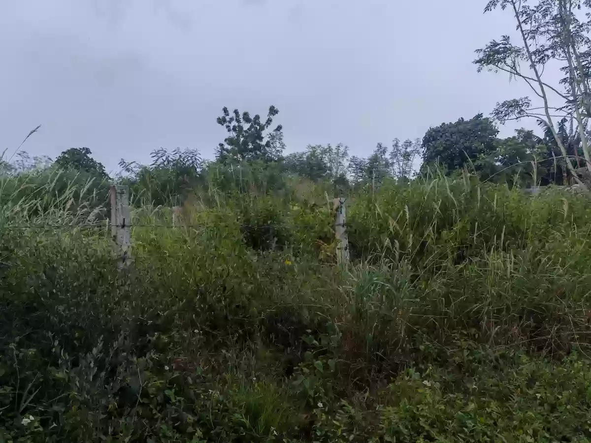 Residential Lot 200sqm. Near Resort and Hotels — Residential Lot in Mabuhay, General Santos City, South Cotabato — Photo 5
