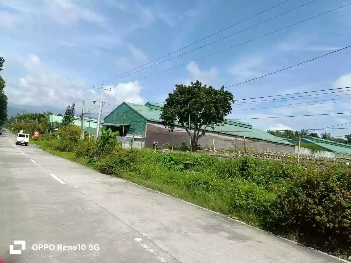 INDUSTRIAL LOT FORSALE — Industrial Lot in Polomolok, South Cotabato, 9504 — Photo 4