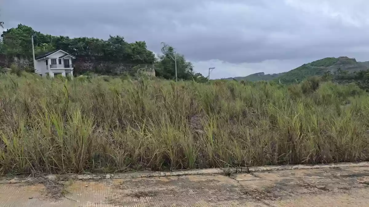For Sale: Residential Lot Near Discovery Hills, Liloan — 200 sqm — Residential Lot in Liloan, Cebu, 6002 — Photo 2