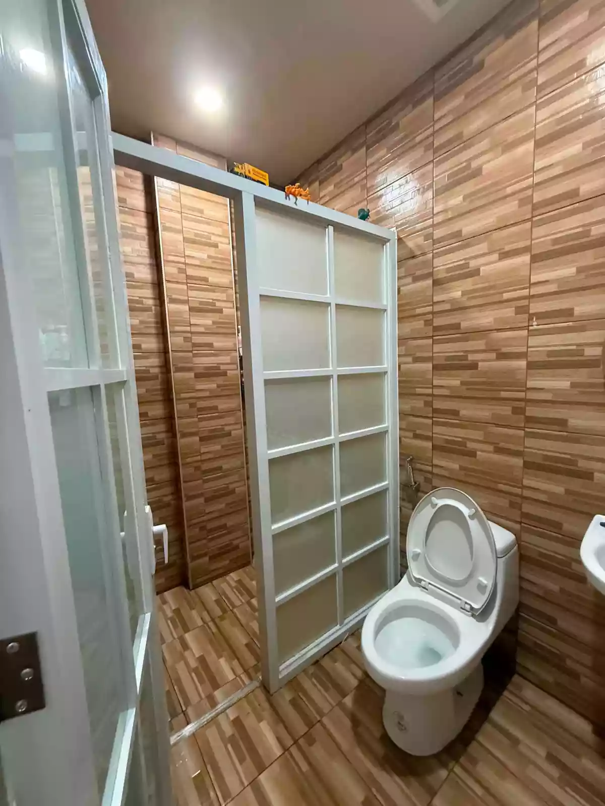 Open photo 19 of 19 — For Sale: 3BR House and Lot with Swimming Pool in Poblacion, Trento