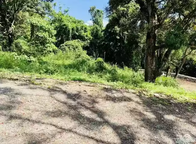 Open photo 11 of 11 — FOR SALE: 1078 sqm Commercial Lot in Dela Paz (Pob.), Antipolo