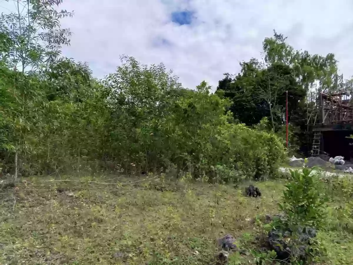 For Sale: Residential Lot in Tawala, Panglao — 200 sqm — Residential Lot in Panglao, Bohol, 6340 — Photo 3