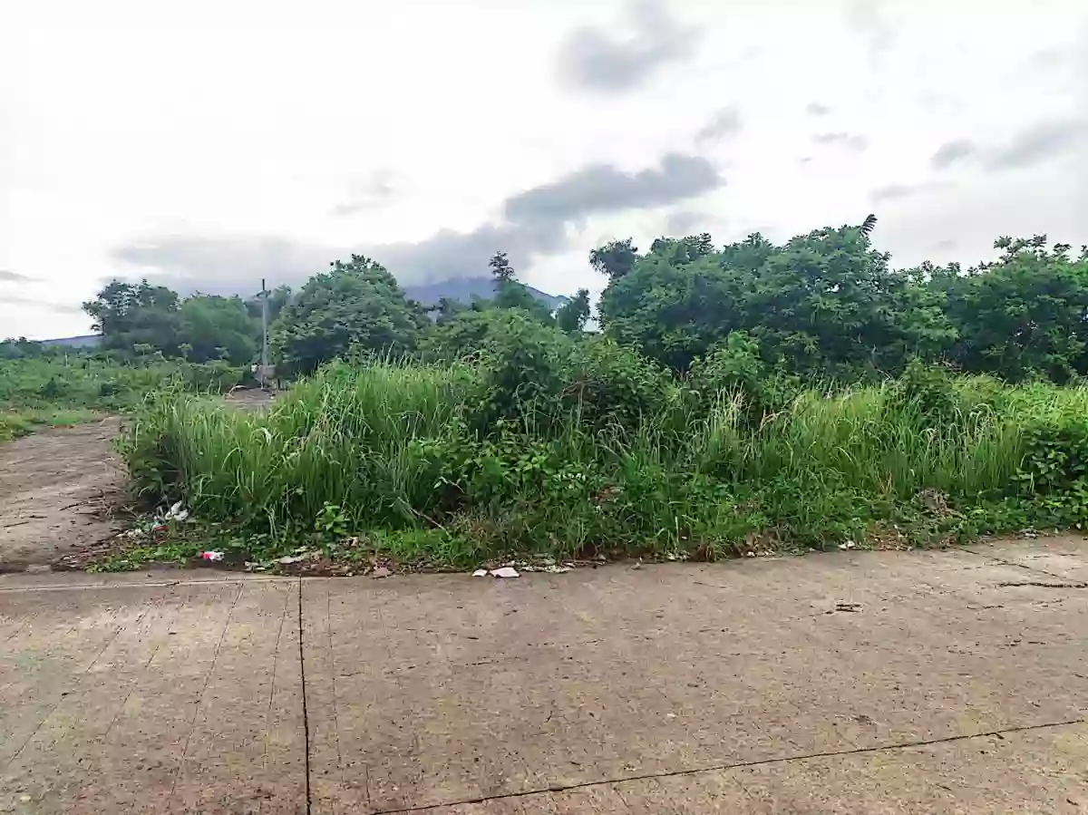 For Sale: Residential Lot in Pacol, Naga City — 103 sqm Corner — Residential Lot in Pacol, Naga City, Camarines Sur — Photo 4