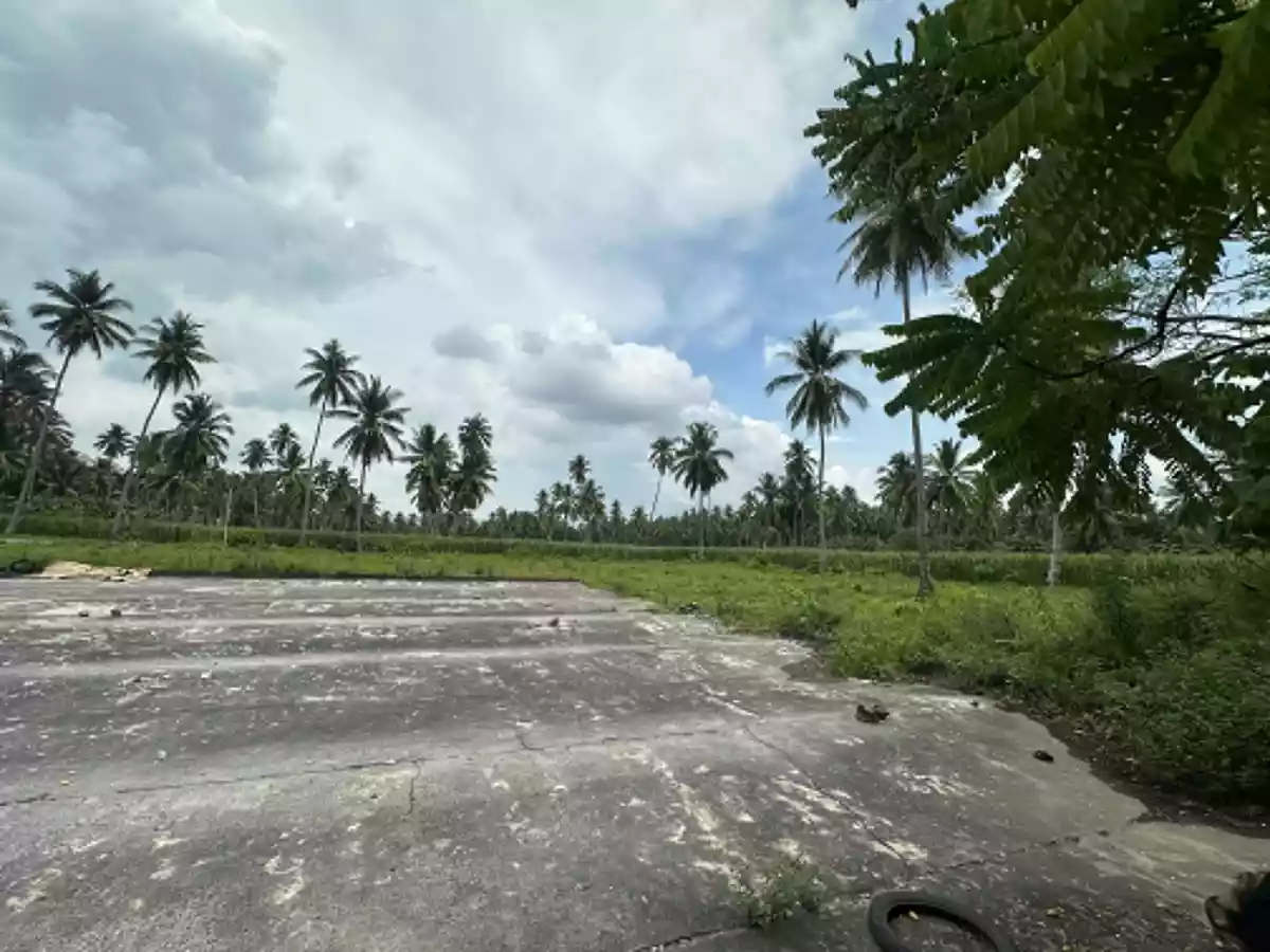 Agricultural Lot for Sale Near Brgy. San Isidro Day Care Center, Tampacan — 36,067 sqm