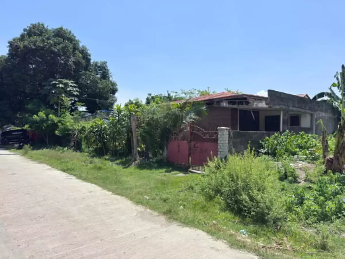 For Sale: 335 sqm Residential Lot in Tipanoy, Iligan City — Residential Lot in Tipanoy, Iligan City, Lanao del Norte — Photo 5