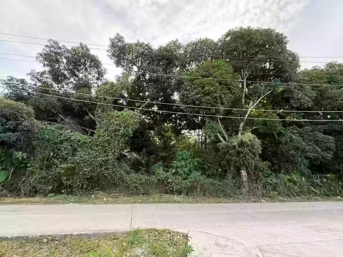 For Sale: Lot in Talay, Dumaguete City — 8,331 sqm — Agricultural Lot in Dumaguete City, Negros Oriental, 6200 — Photo 2