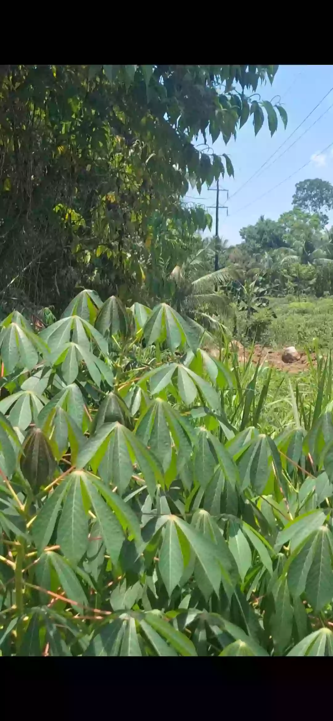 For Sale: Residential Lot in Poblacion, Kidapawan City — Investment Lot — Residential Lot in Poblacion, Kidapawan City, Cotabato — Photo 2