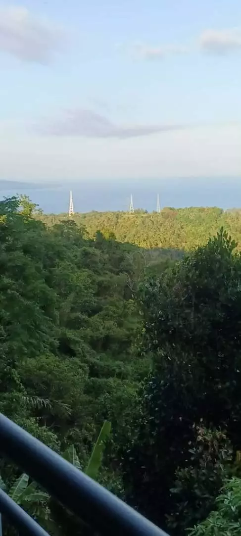 LOT FOR SALE IN JANAYJANAY, SAN JOSE, NEGROS ORIENTAL - photo 4