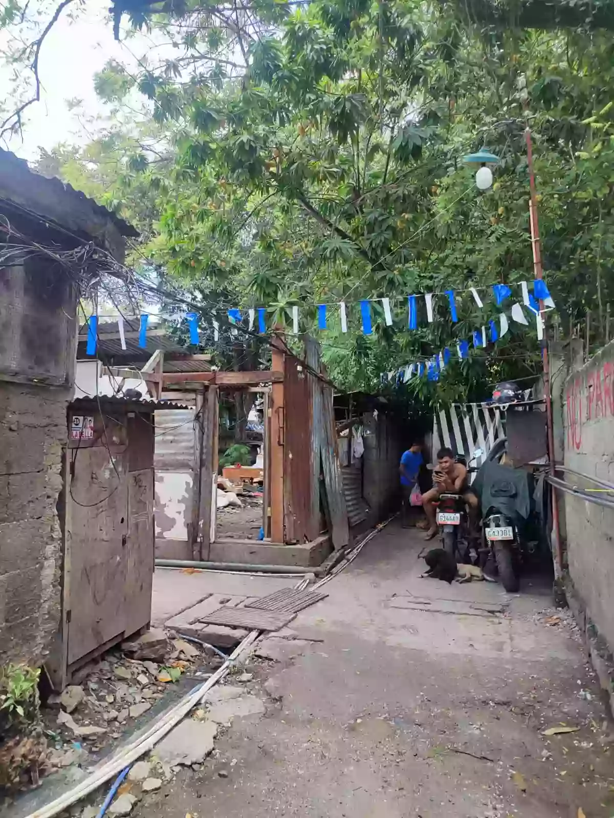 For Sale: 167 sqm Residential Lot in Tisa, Cebu City — Investor Lot — Residential Lot in Tisa, Cebu City, Cebu — Photo 5