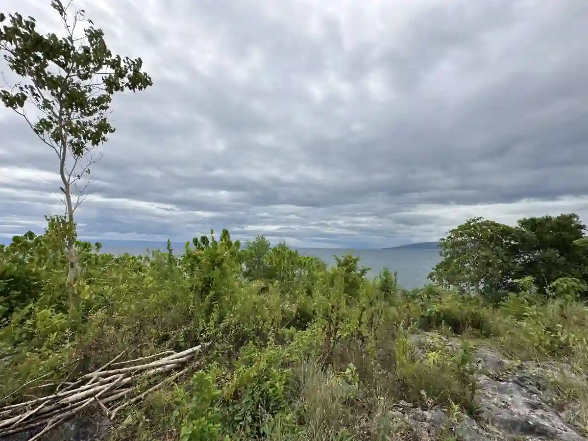 For Sale: 5996 sqm Cliff Beach Lot in Bingag, Dauis — Investment — Beach Lot in Dauis, Bohol, 6339 — Photo 4