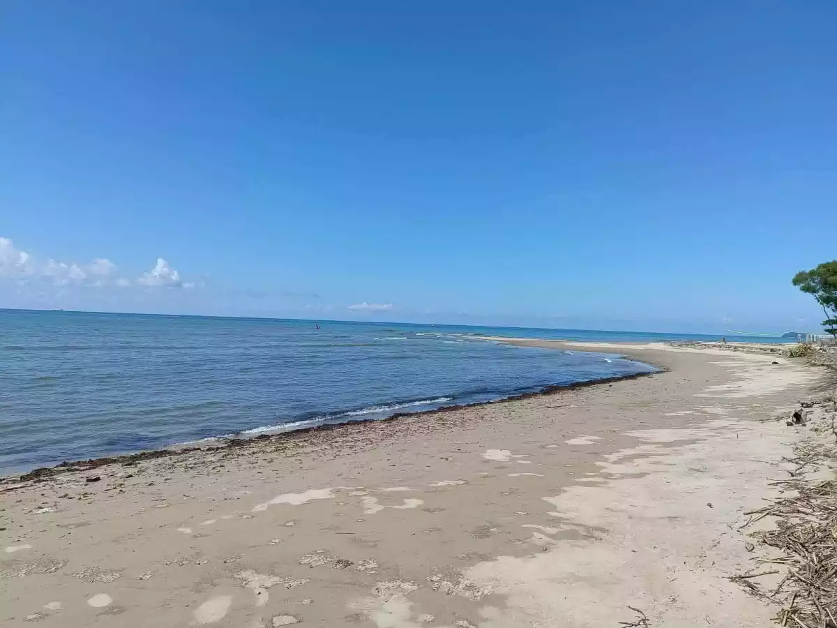 For Sale Beach Lot in Nauhang, Sipalay — 2212 sqm — Beach Lot in Sipalay, Negros Occidental, 6113 — Photo 2