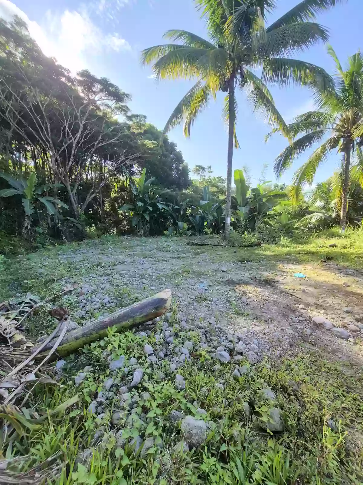 For Sale: Residential Lot in San Antonio, Sibulan — 300 sqm — Residential Lot in Sibulan, Negros Oriental, 6201 — Photo 3