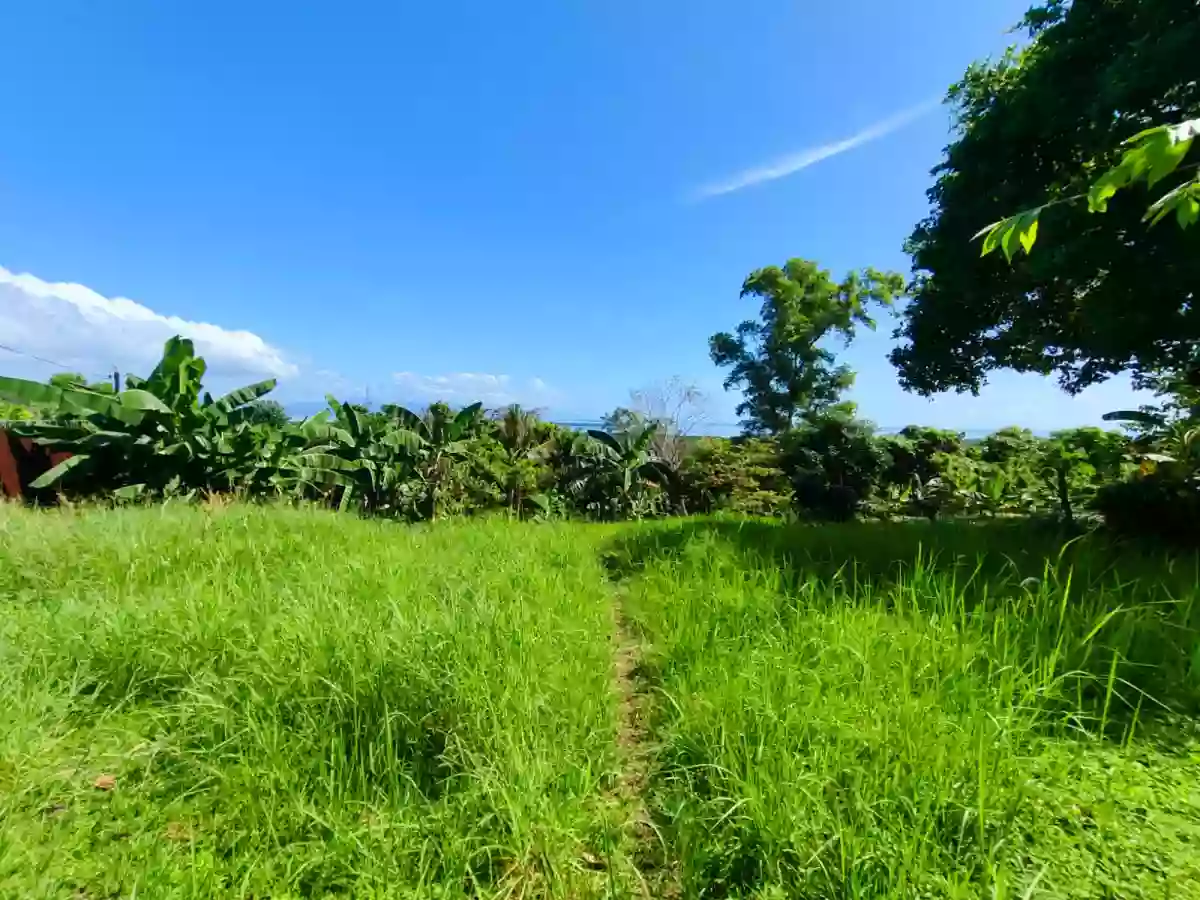 FOR SALE: 1,736 sqm Residential Lot in Santa Lourdes, Puerto Princesa City — Residential Lot in Puerto Princesa City, Palawan, 5300 — Photo 3