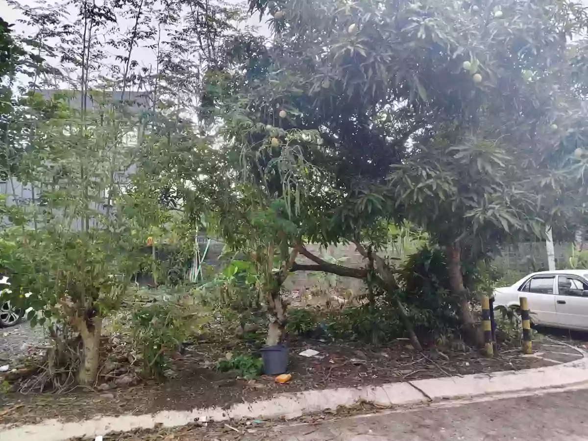 For Sale: Residential Lot in Concepcion Grande, Naga City — 171 sqm — Residential Lot in Concepcion Grande, Naga City, Camarines Sur — Photo 3
