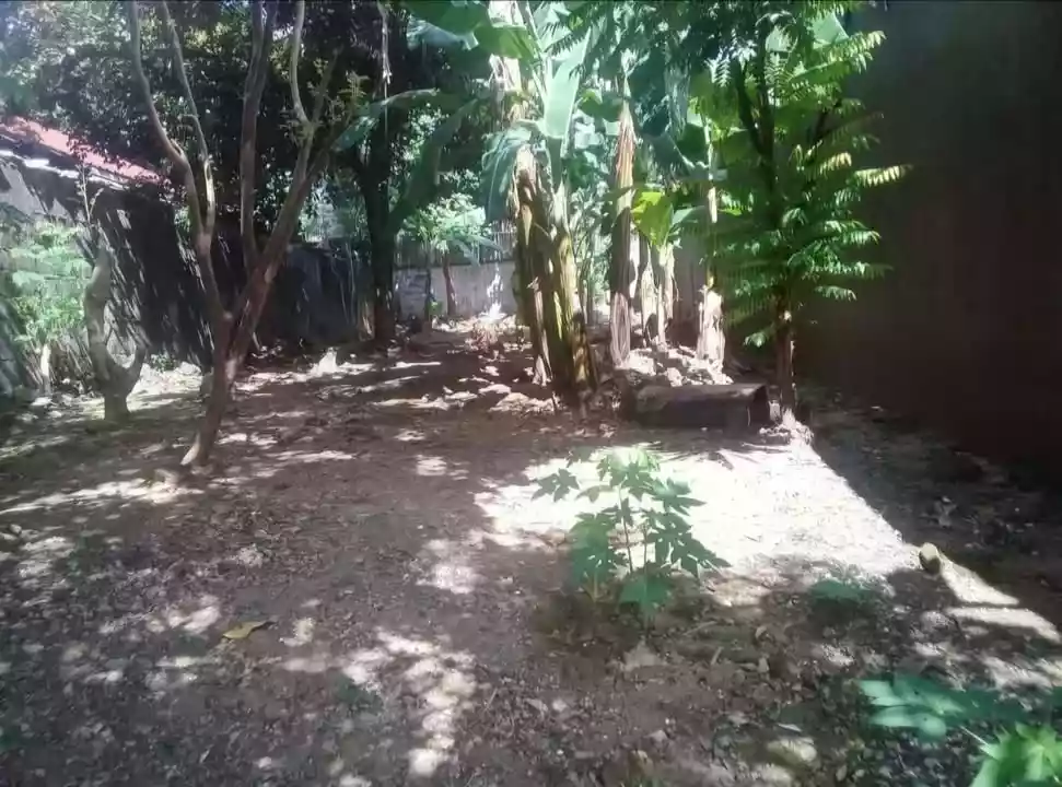 For Sale: Residential Lot in Pasong Tamo, Quezon City — 200 sqm — Residential Lot in Quezon City, Metro Manila, 1101 — Photo 5