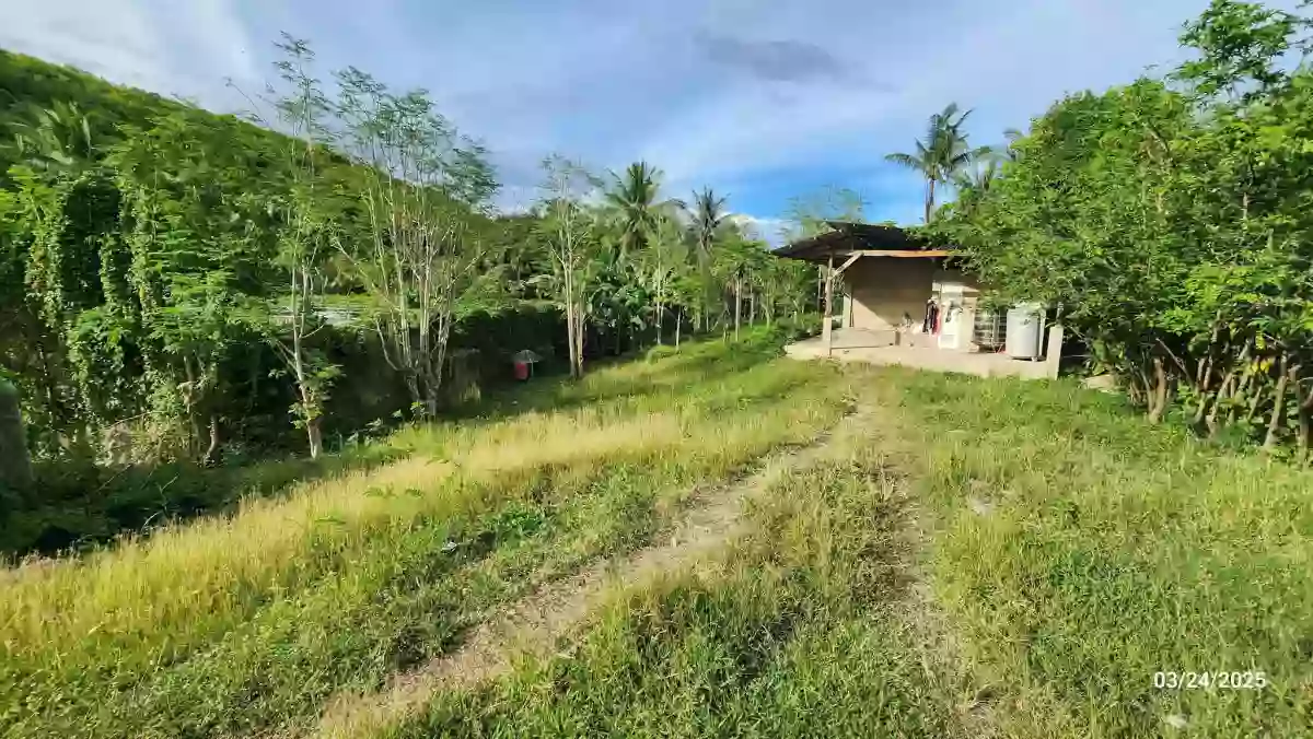 5.2hec Lot only in Danao City