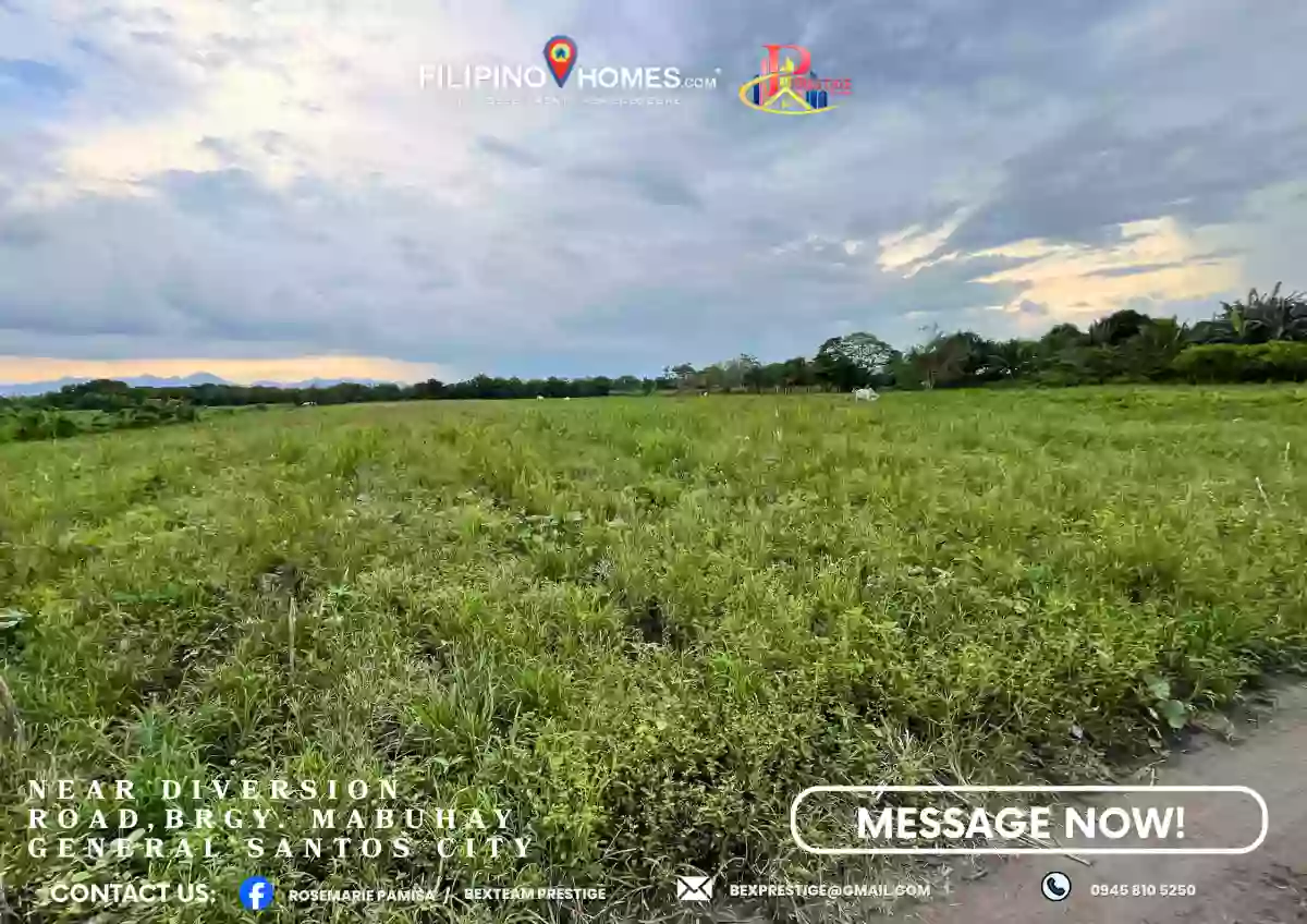 For Sale Agricultural Lot in Mabuhay, Gen. Santos City 10,000 sqm — Agricultural Lot in Gen. Santos City, South Cotabato, 9500 — Photo 2