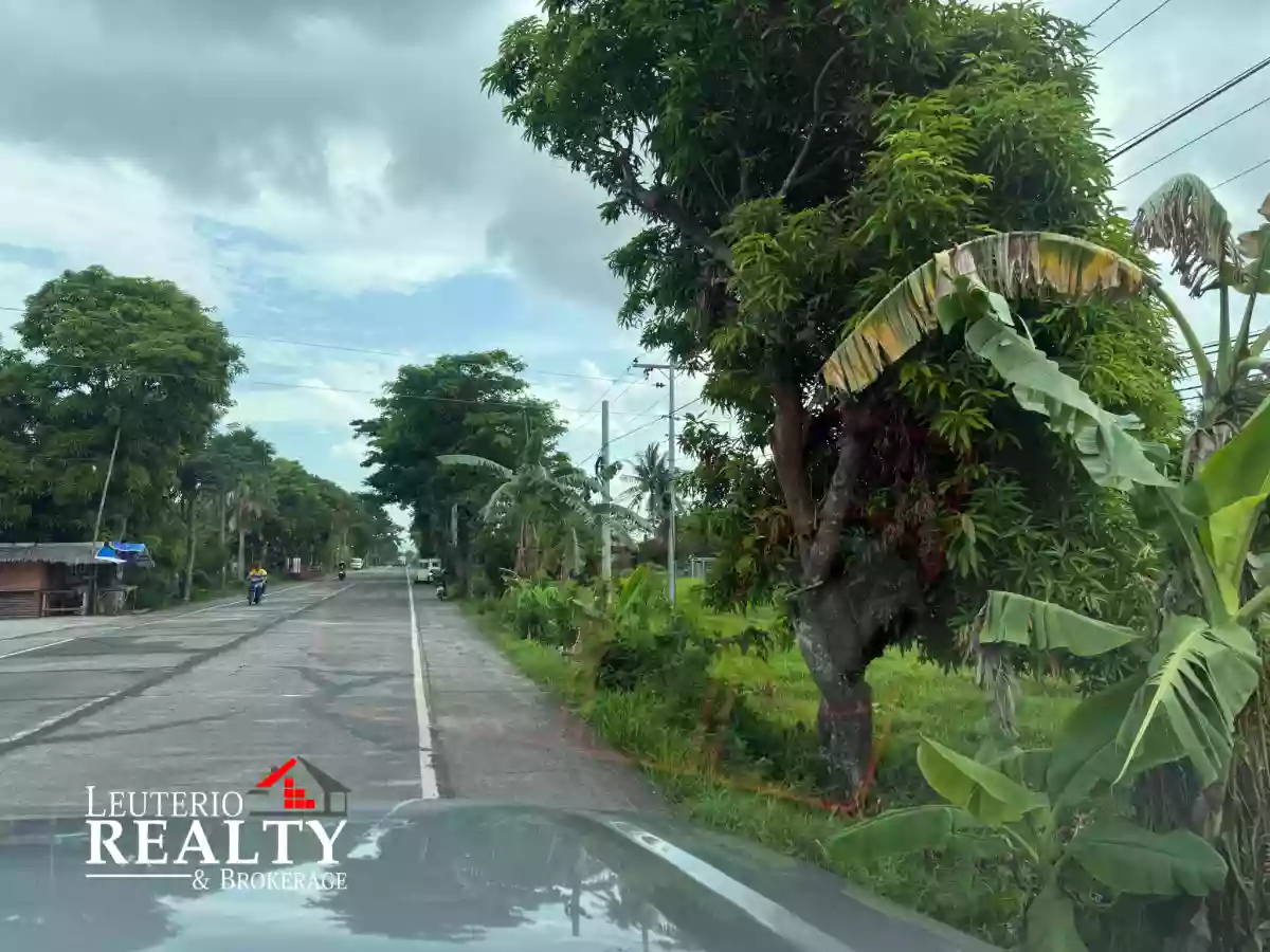 LOT for SALE 2,000 SQM along National Road boundary of Pili & Ocampo — Residential Lot in Pili, Camarines Sur, 4418 — Photo 3