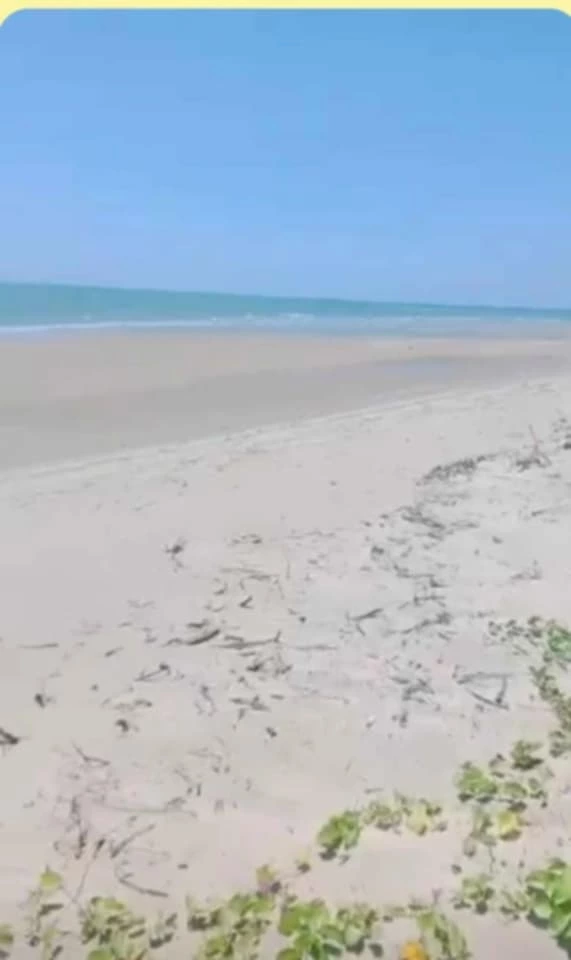 For Sale: Beach Lot in Salvacion, Roxas — 30,661 sqm — Beach Lot in Roxas, Palawan, 5308 — Photo 2