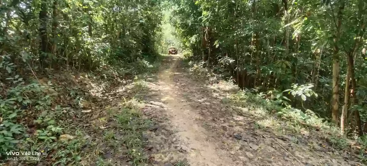 Open photo 11 of 13 — Rush Sale: 17 Hectares Agricultural Lot in New Cuyo, Roxas, Palawan