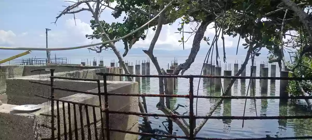 Open photo 17 of 22 — For Sale: Beach Resort in Alegria, Cebu