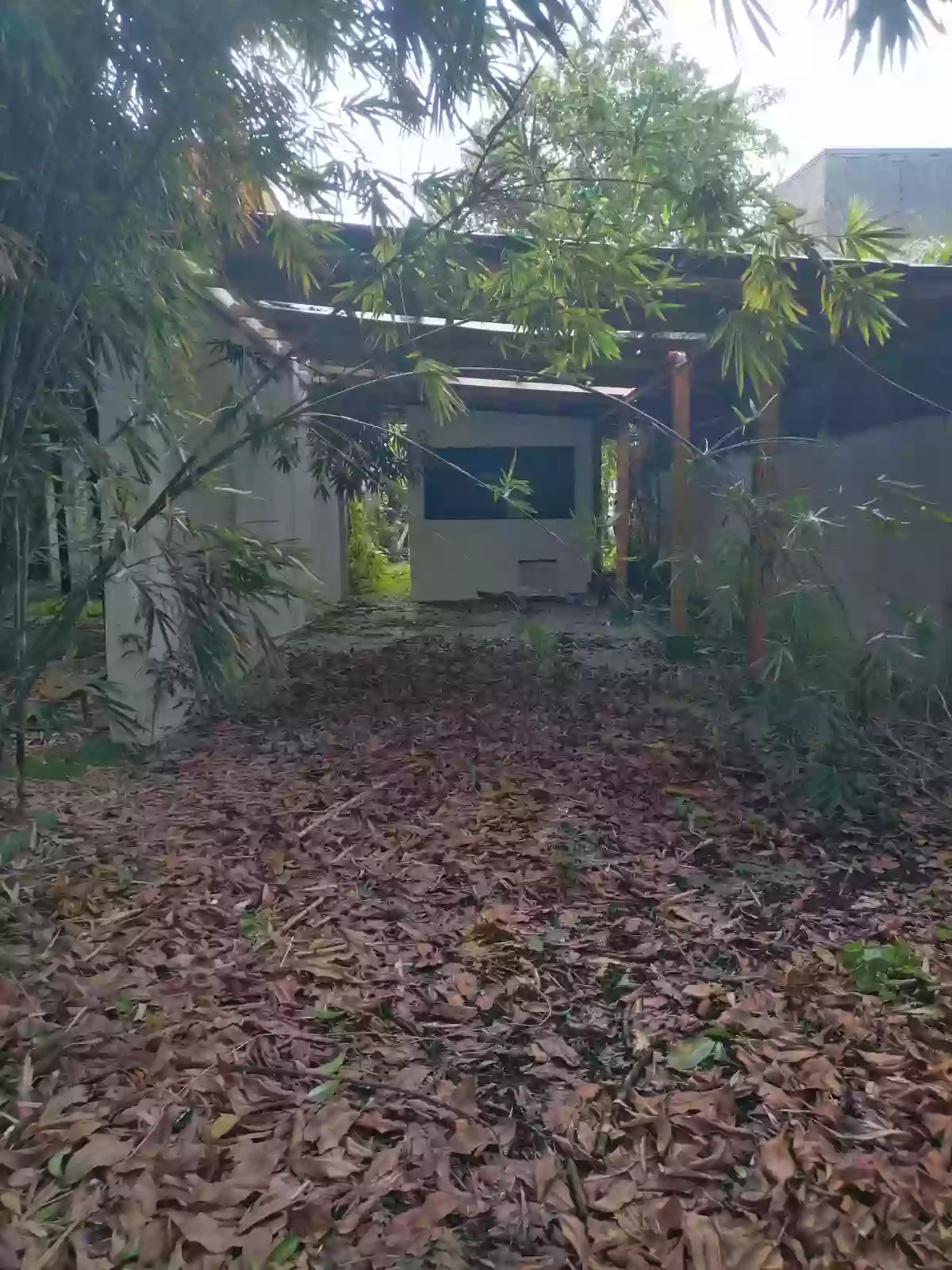 Residential Lot for Sale along City Center, District of Jaro, Iloilo City — Residential Lot in Iloilo City, Iloilo, 5000 — Photo 3