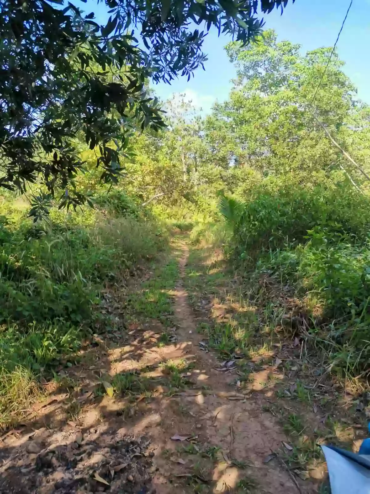 For Sale: Agricultural Lot in Barangay IV (Pob.), Coron — 2601 sqm — Agricultural Lot in Barangay IV (Pob.), Coron, Palawan — Photo 2