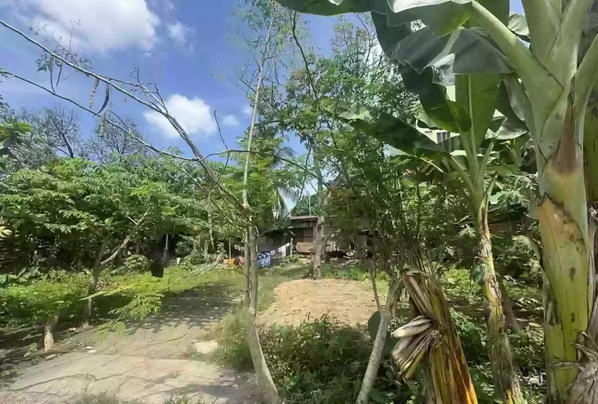 FOR SALE: 360 sqm Residential Lot Near National Highway, Davao City — Residential Lot in Buhangin (Pob.), Davao City, Davao del Sur — Photo 3