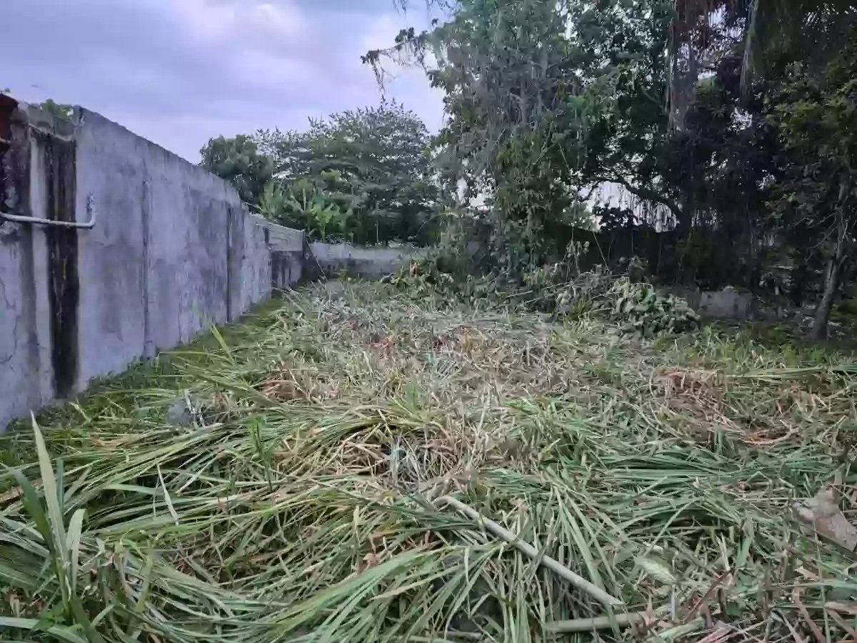 202 SQM RESIDENTIAL LOT FOR SALE NEAR KORONADAL CITY HALL — Residential Lot in Zone III (Pob.), Koronadal, South Cotabato — Photo 6