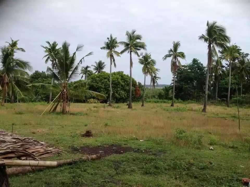 For Sale: 23491 sqm Agricultural Lot in Alobo, Santa Cruz — Agricultural Lot in Santa Cruz, Marinduque, 4902 — Photo 5