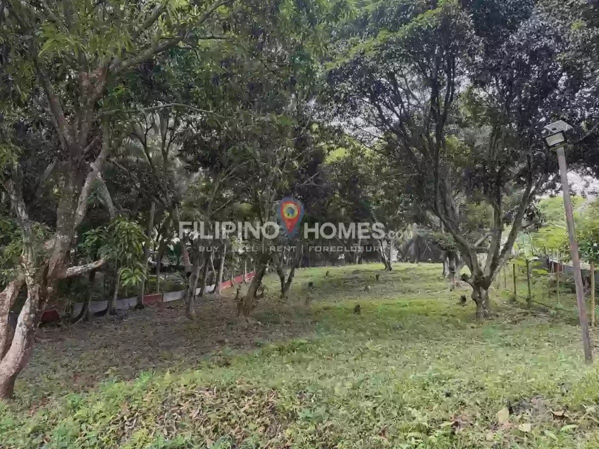 🌴 LOT FOR SALE in Kiwanan, Midsayap! 🏡✨ — Agricultural Lot in Midsayap, Cotabato, 9410 — Photo 7