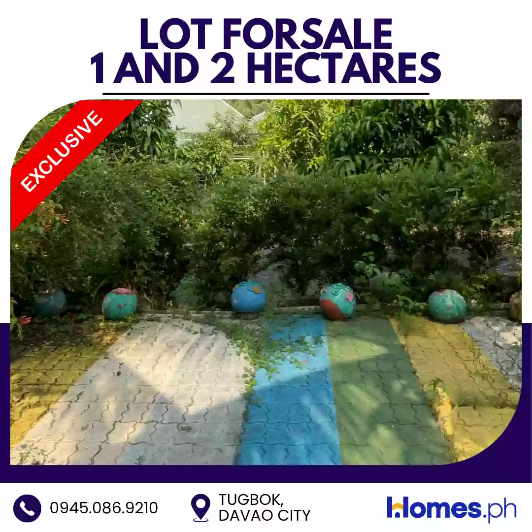 Open photo 12 of 16 — For Sale: Residential Lot in Tugbok (Pob.), Davao City — 30000 sqm