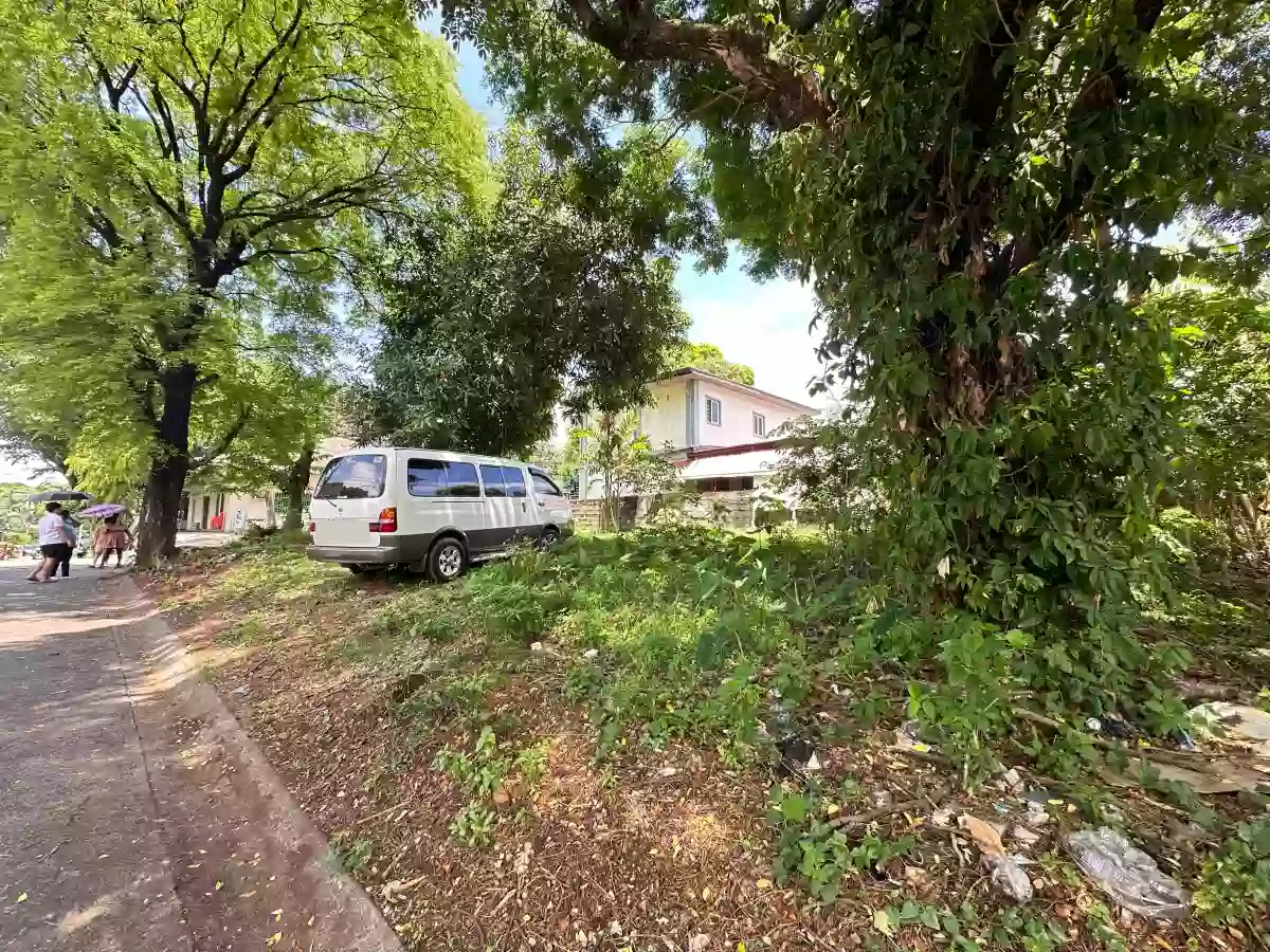 For Sale: 256 sqm Residential Corner Lot in BF Homes Phase 1, north Caloocan City — Residential Lot in Barangay 169, Caloocan City, Metro Manila — Photo 3