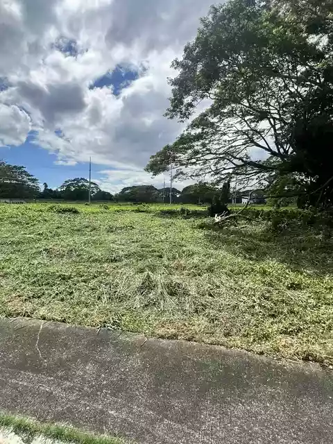 For Sale: Residential Lot in Bulakin, Tiaong, Quezon — 520 sqm — Residential Lot in Tiaong, Quezon, 4325 — Photo 2