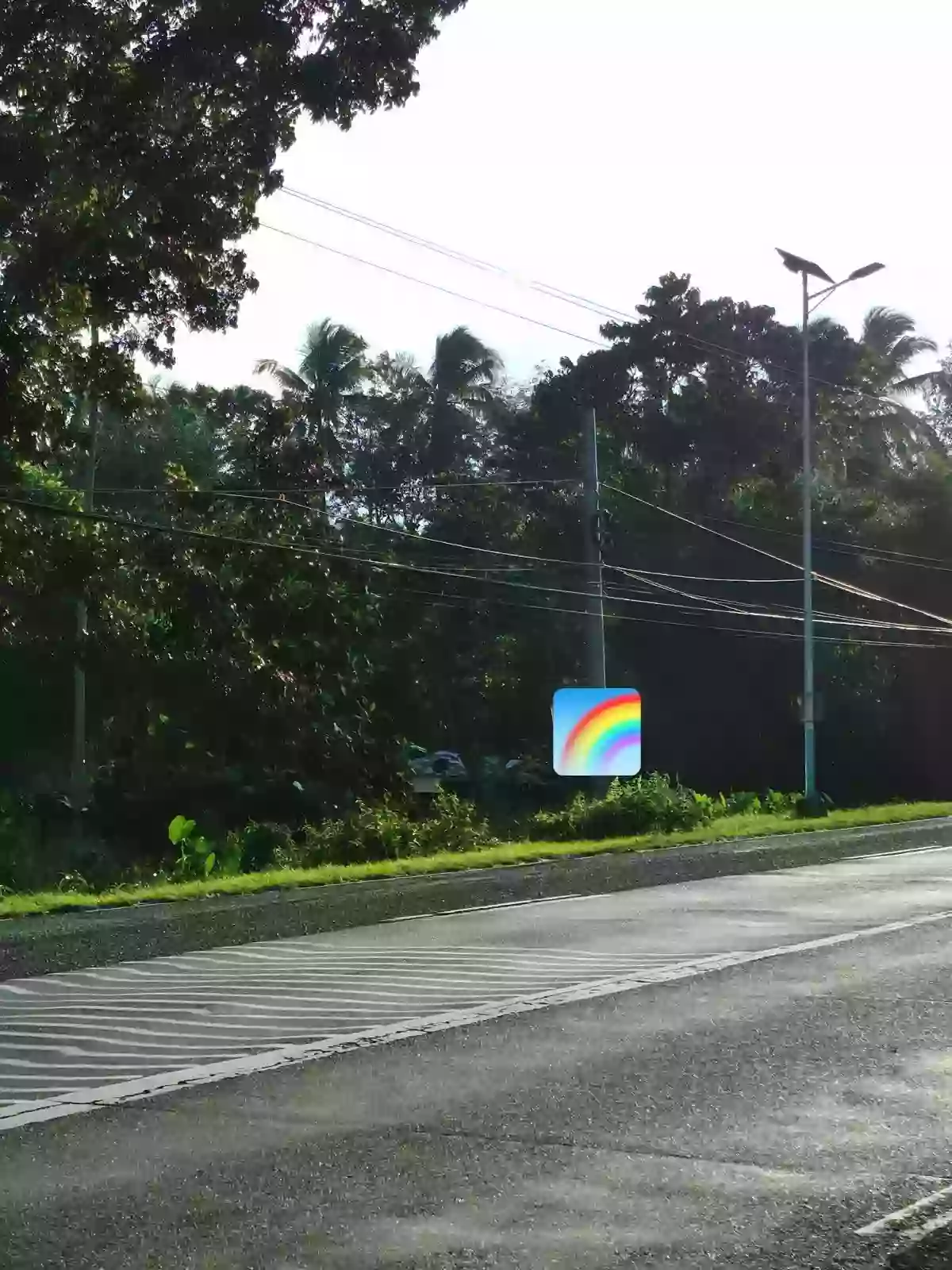4500 sqm , commercial lot ,fronting national road — Commercial Lot in Pagadian City, Zamboanga del Sur, 7016 — Photo 2