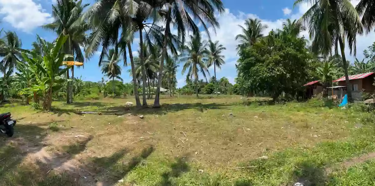 For Sale: Residential Lot in Bacung, Negros Oriental — 944 sqm — Residential Lot in Bacung, Negros Oriental, 6216 — Photo 2