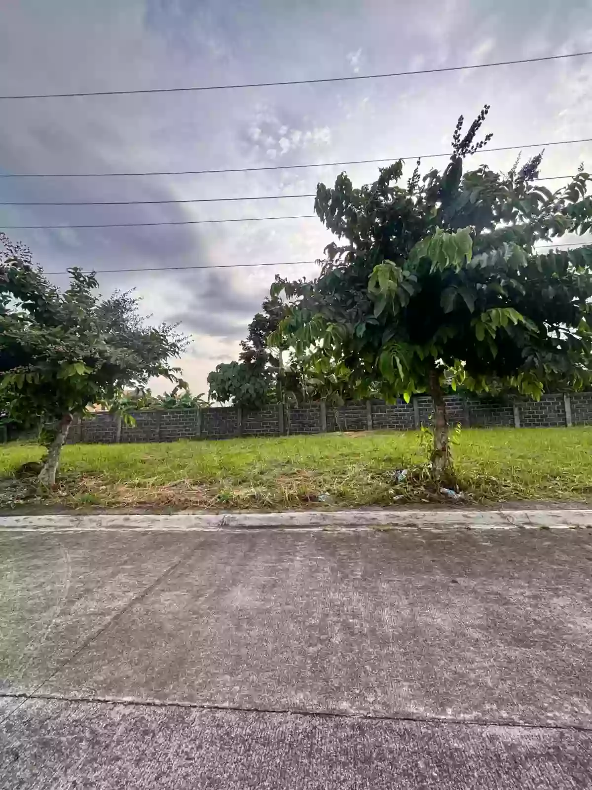 Camella Heights Residential Lot for Sale! — Residential Lot in Cararayan, Naga City, Camarines Sur — Photo 4